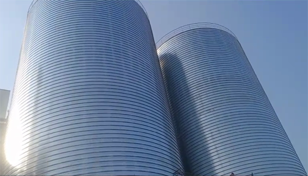 奉贤2座混凝土高架卷板仓